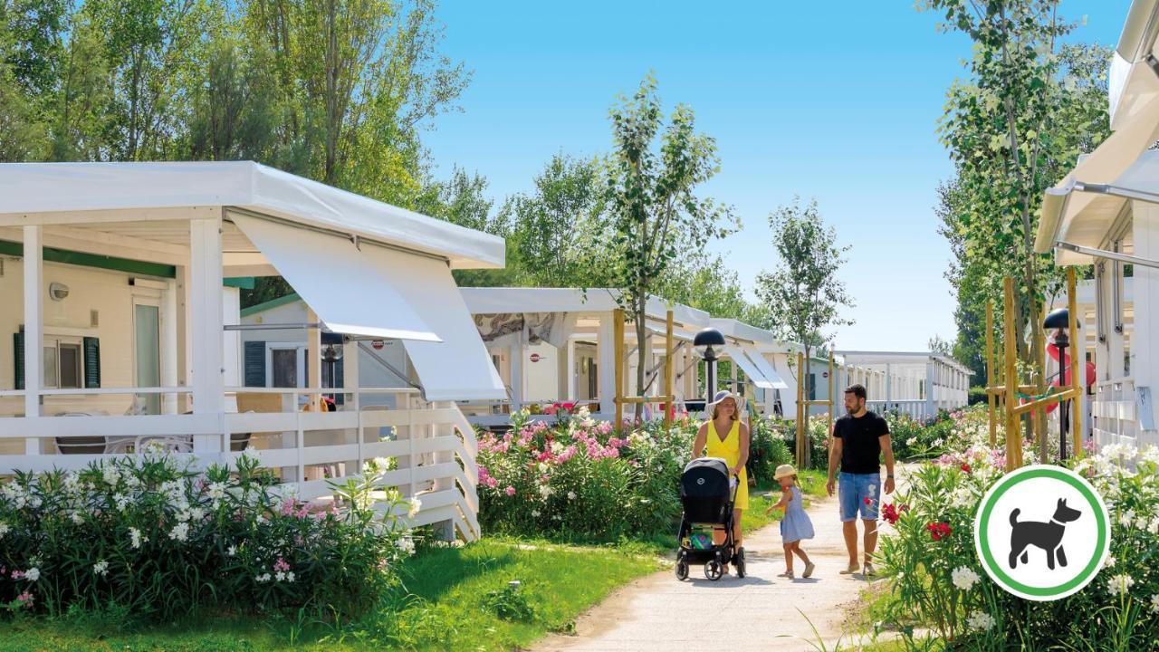 Casa Mobile Più Ampia con 2 Camere da Letto e Vista Giardino